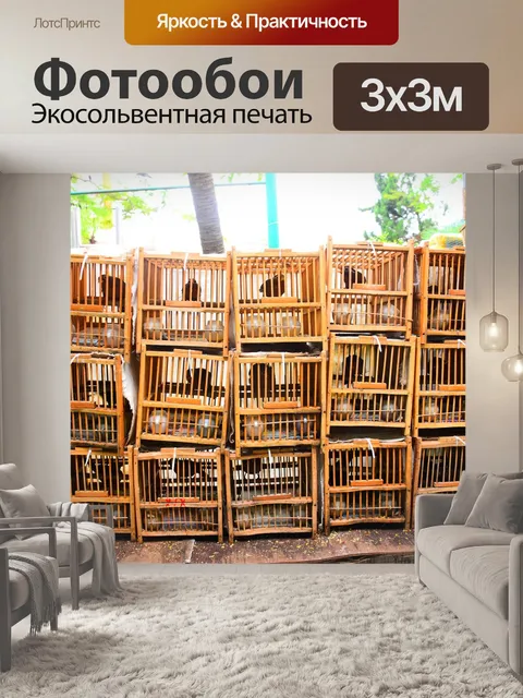 Фотообои Птицы