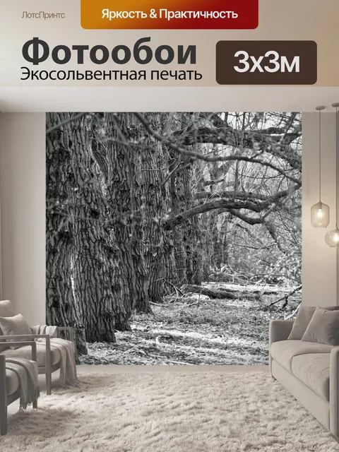 Фотообои Мистическая аллея деревьев