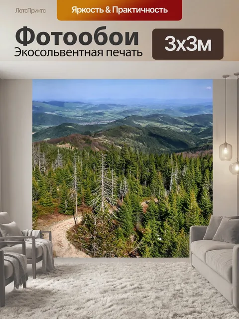Фотообои Вид