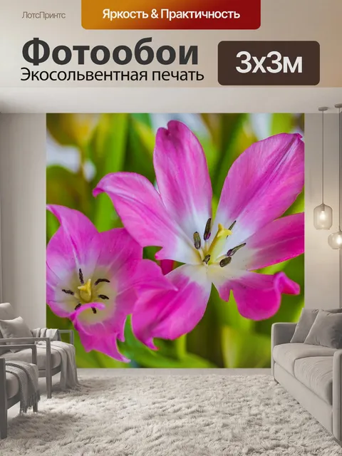 Фотообои Тюльпаны розовый