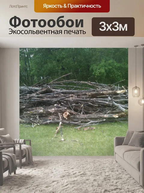 Фотообои Куча палочки