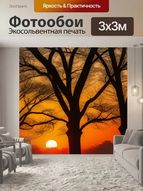 Фотообои деревья silhouetted против восходящего солнца