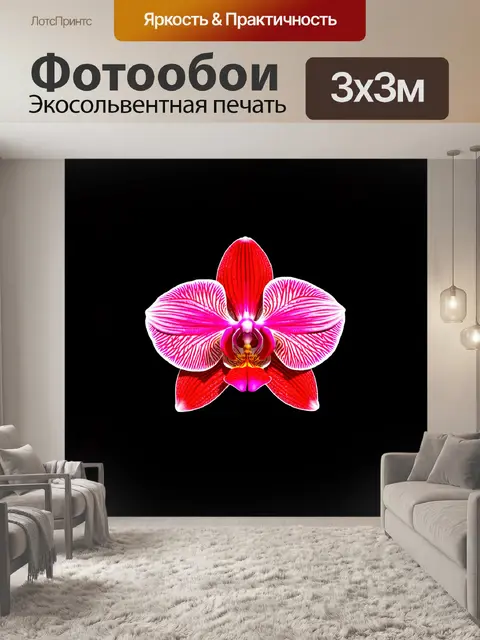 Фотообои в стиле цифровой живописи в формате 3d: яркая орхидея с глянцевыми