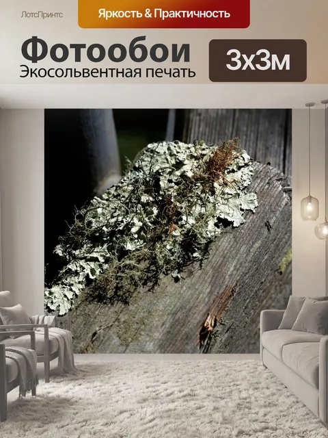 Фотообои Рост на столбе забора