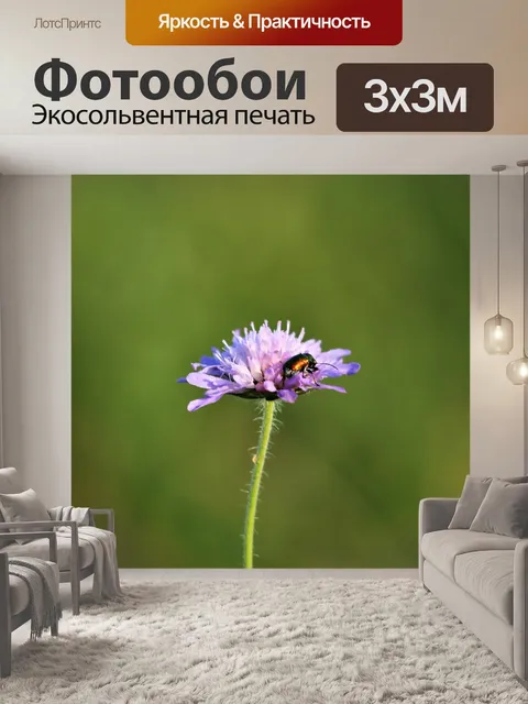 Фотообои Зеленая черепашка на фиолетовый цветок