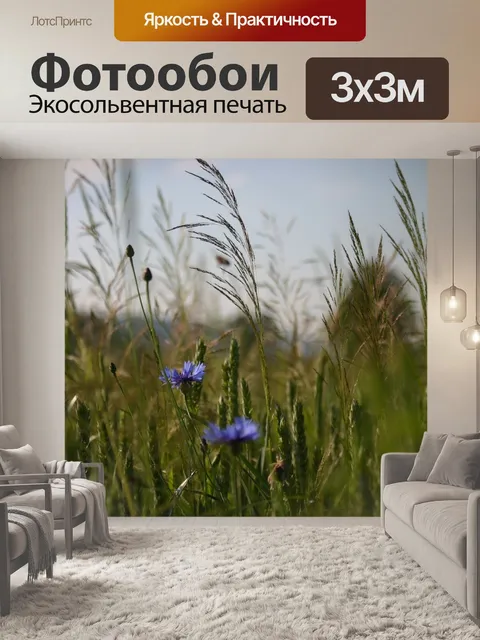 Фотообои Васильки
