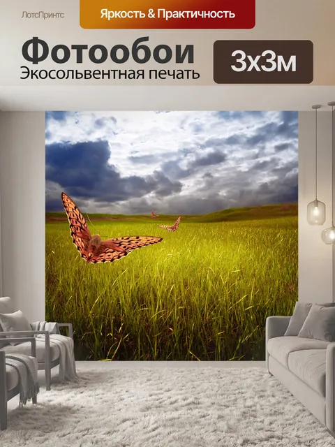 Фотообои Поле, небо и бабочки