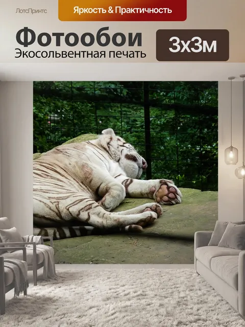 Фотообои Белый тигр