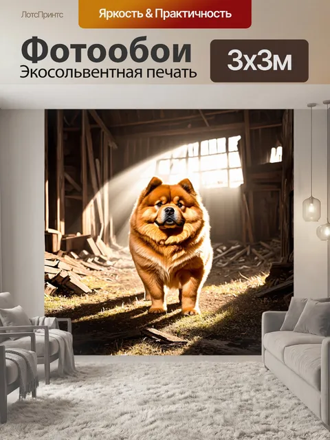 Фотообои чау-чау, ищущий приключения в заброшенном амбаре, где солнечные лучи пробиваются сквозь трещины в деревянных…