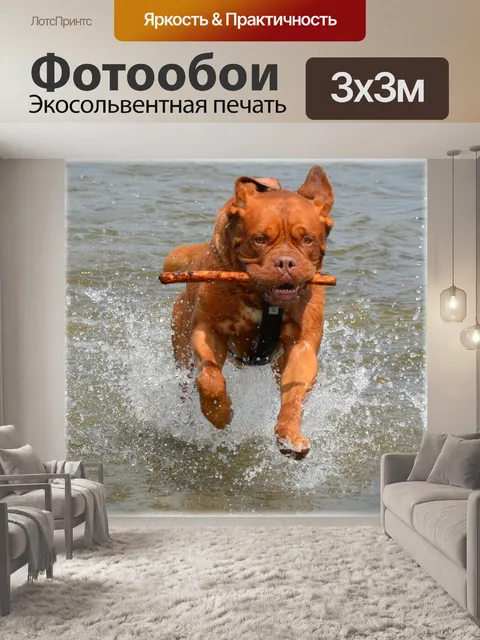 Фотообои Неспокойной водой 16