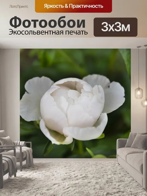 Фотообои Белый