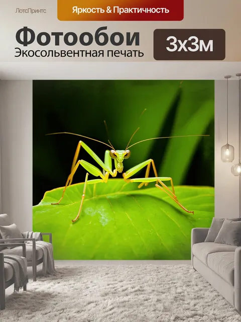 Фотообои богомол, с крупными выразительными глазами, сидит на ярко-зеленом листе, ловко выжидая момент для нападения…