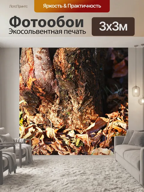 Фотообои основа орехового дерева пекан и сухие ли