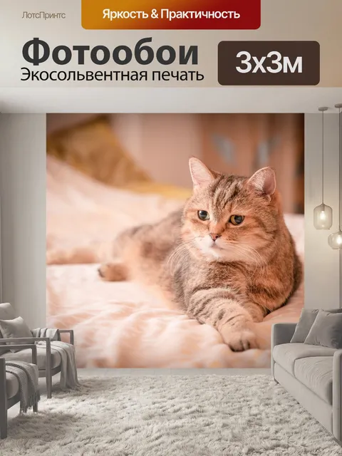Фотообои Домашний питомец