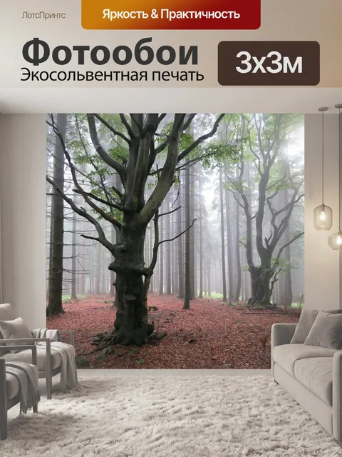 Фотообои Лес
