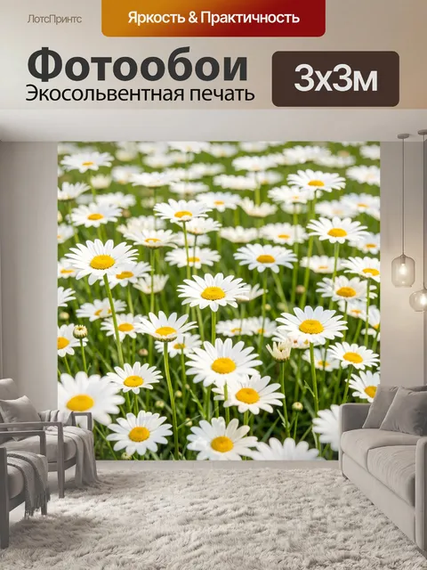 Фотообои Поле ромашек в зелени
