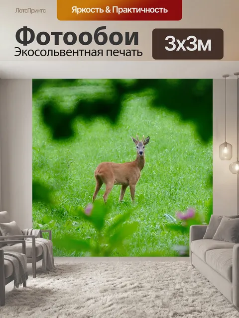 Фотообои Косуля