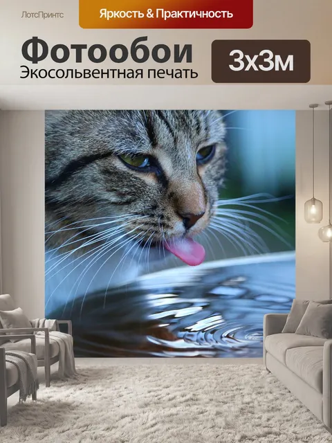 Фотообои Кот