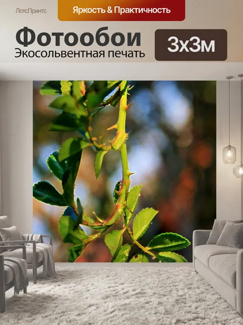 Фотообои розы куст прутик и листья