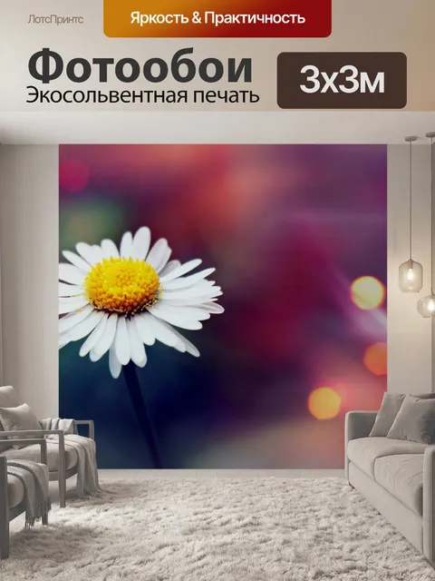 Фотообои Цветы ромашки цветут луговые