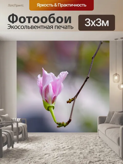 Фотообои Цветок