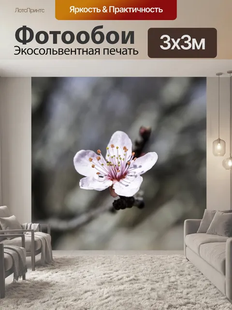 Фотообои Японская сакура