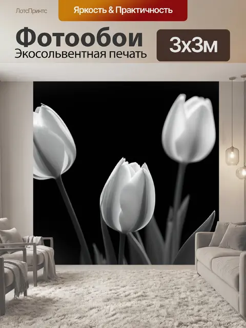 Фотообои тюльпаны в черно-белом свете