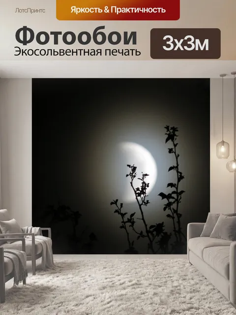 Фотообои Лунное затмение