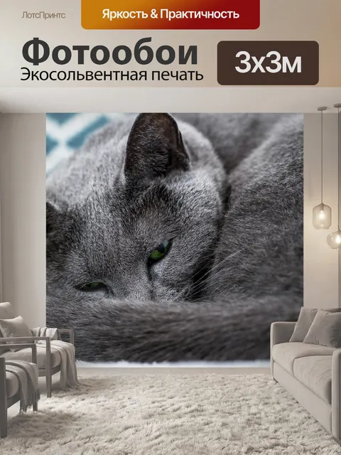 Фотообои Кошка