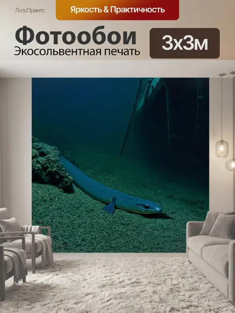 Фотообои животные в стиле готический: таинственный речной угорь, извивающийся рядом с затонувшим кораблем