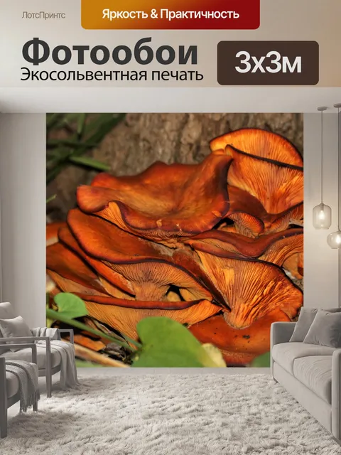 Фотообои Джек-о-фонарь грибы крупным планом