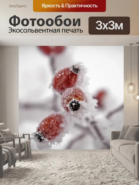Фотообои Фрост