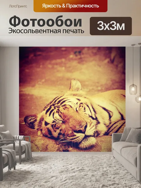 Фотообои тигр в зоопарке Таиланда