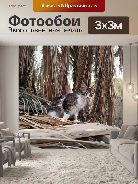 Фотообои Кошка
