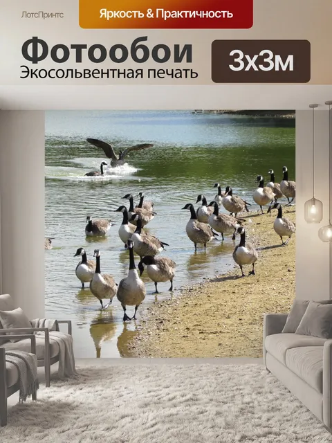 Фотообои Птицы