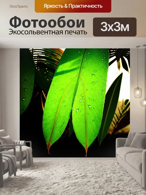 Фотообои листья тропических растений
