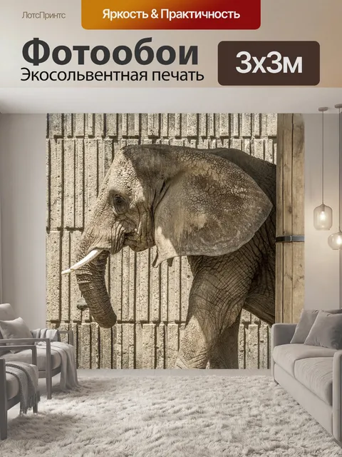 Фотообои Млекопитающее