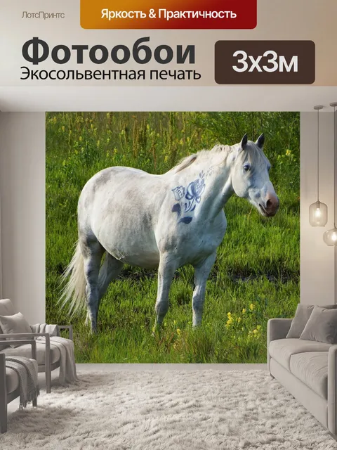 Фотообои Лошадь