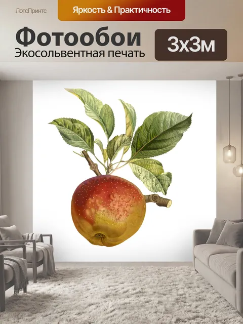 Фотообои Яблоко фруктовое марочное
