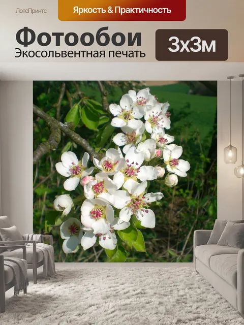Фотообои Расцветает