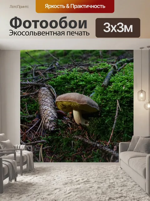 Фотообои Гриб