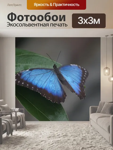 Фотообои Бабочка