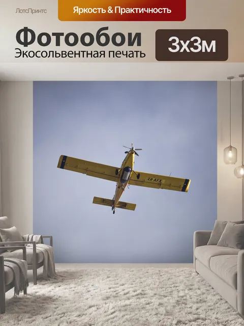 Фотообои Самолет