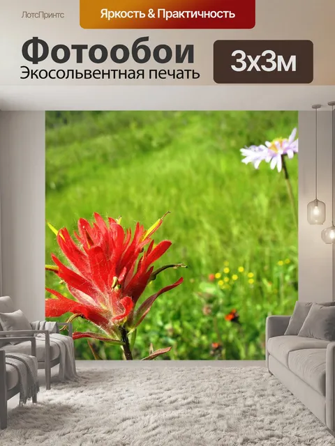 Фотообои Индийская кисть