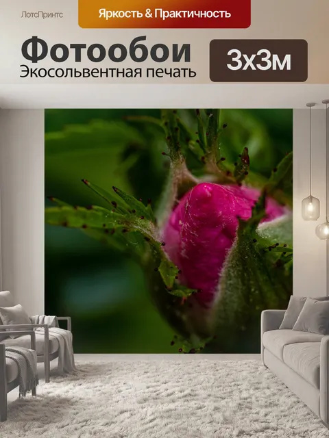 Фотообои Макрос