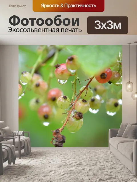 Фотообои Ягода