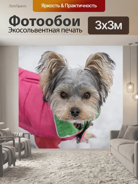 Фотообои Собака