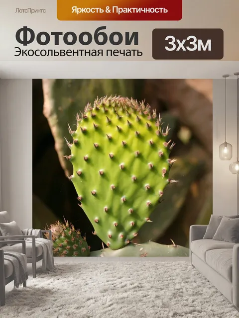 Фотообои Опунция