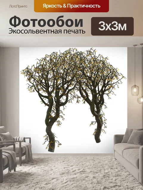 Фотообои Деревья