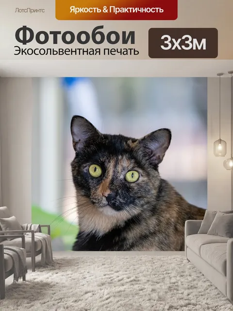 Фотообои Кошка